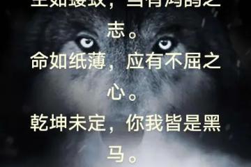 九游体育平台-狼队底蕴雄浑，提起伍尔夫汉普顿怅然若失的简单介绍
