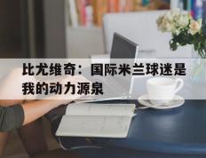 九游app下载-关于比尤维奇：国际米兰球迷是我的动力源泉的信息